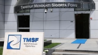 TMSF, Boydak Holding'in şirketlerini satıyor