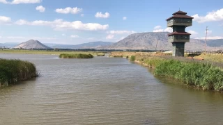 Tokat Kaz Gl: Anadolunun sakl ku cenneti