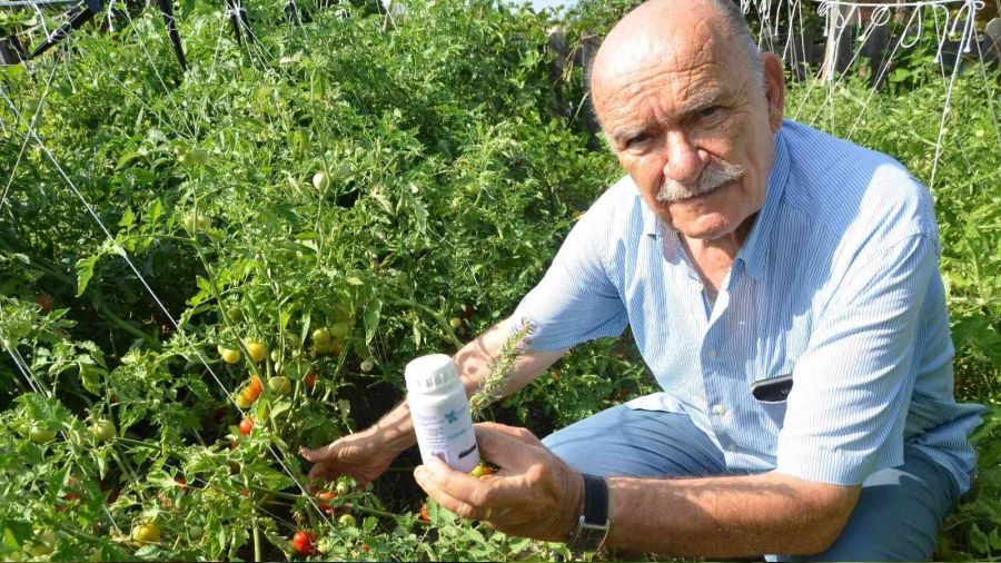 Toros Dağları'nın kekiği her derde deva
