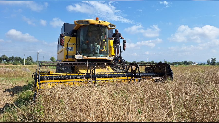   T�ccar hububatta �ift�iyi ma�dur ediyor