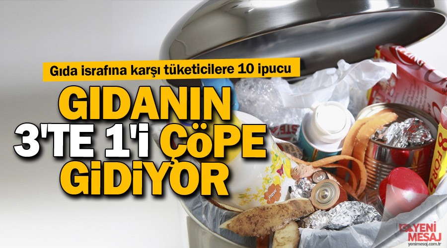 T�m d�nyada g�dan�n 3'te 1'i ��pe gidiyor
