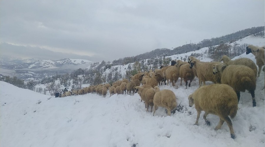 Tunceli'de kar yad