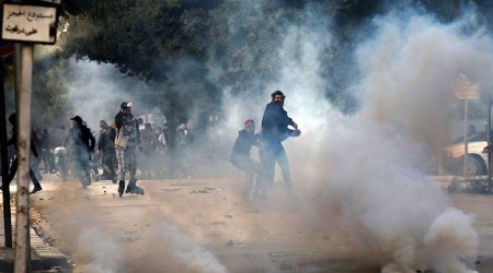 Tunuslular devrimin 10. yılını kutladı