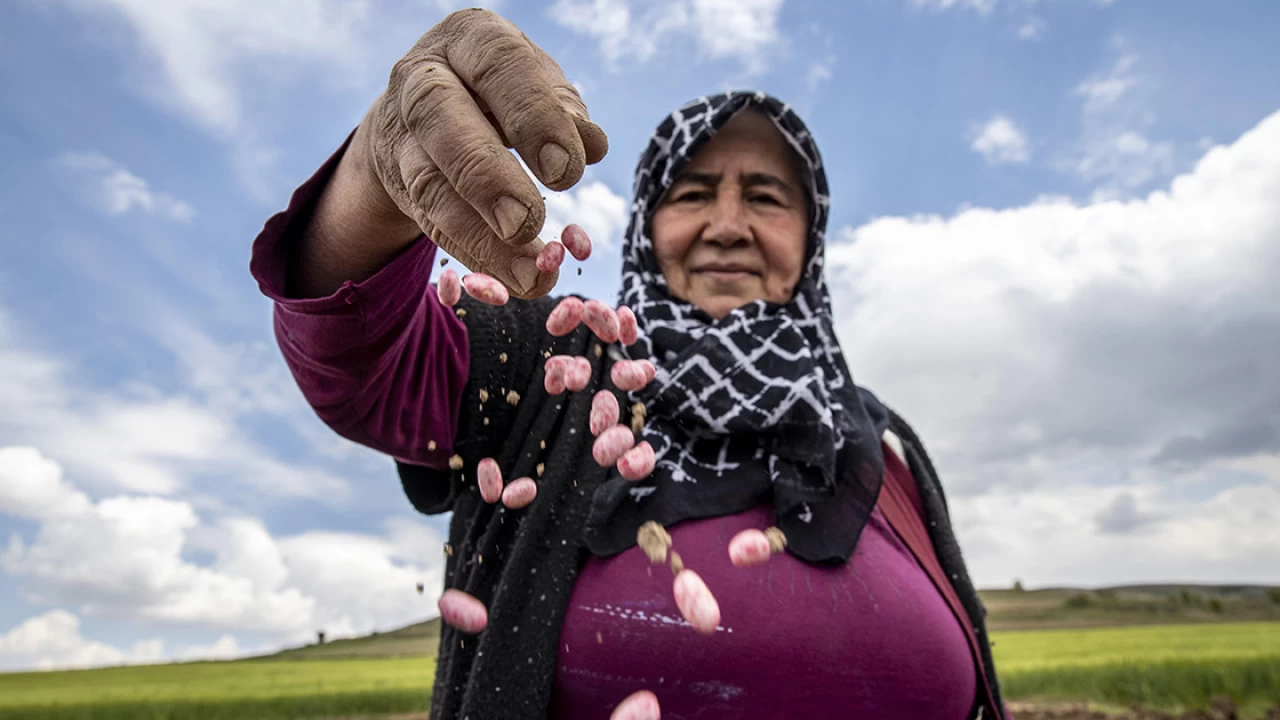  T�rkiye, �ok ya�l� �lkeler kategorisine girdi!