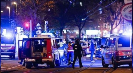 Türkiye'den Avusturya'ya dayanışma mesajı