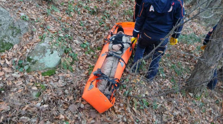 Uludağ'ın ormanlarında 12 saatlik can pazarı