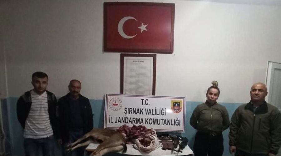 Uludere'de yasa d��� ava 185 bin lira ceza