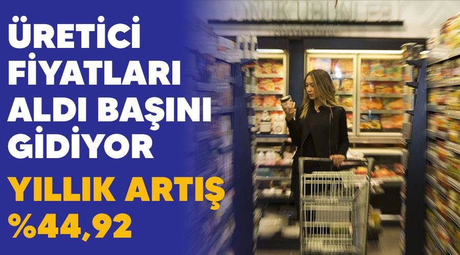 Üretici fiyatları aldı başını gidiyor, yıllık artış %44,92