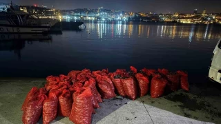 skdar'da 2 ton kaak midye ele geirildi