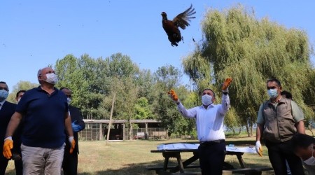 Vali Atay kuş cennetinde incelemelerde bulundu