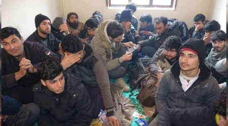 Van'da 30 kaak gmen yakaland