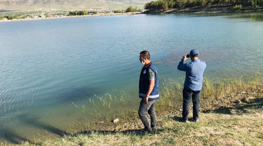 Van'daki balık ölümleri araştırılıyor