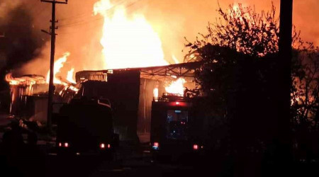 Yalova'da kereste fabrikasnda korkutan yangn