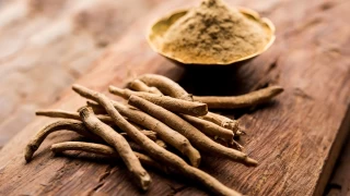 Yeni trend Hint gingsengi Ashwagandha sala ok faydal