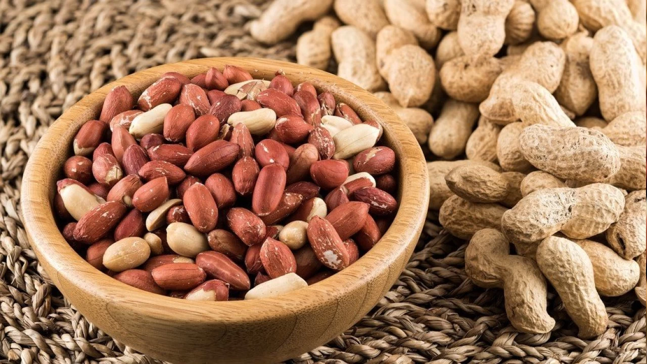 Yer f�st���: Besleyici bir tohum