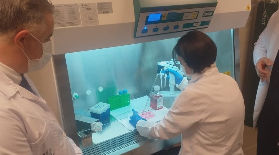 Yerli Ar Genleri dnya bilim camiasnda