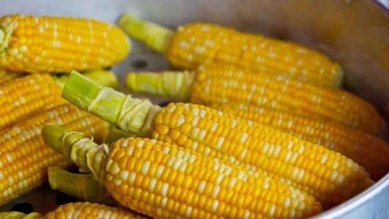 Yüksek fruktozlu mısır şurubu sağlığa zararlı