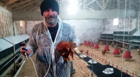 Yumurta tavukçuluğuna ilgi artıyor