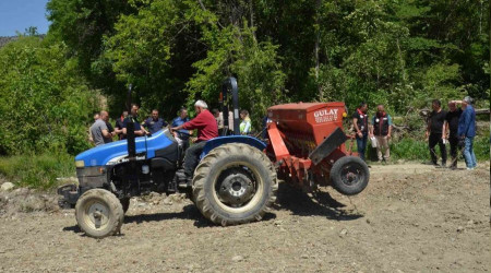 Yüzde 80 su tasarruflu çeltik ekimi yapıldı