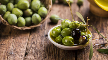 Zeytin ihracatı rekora koşuyor