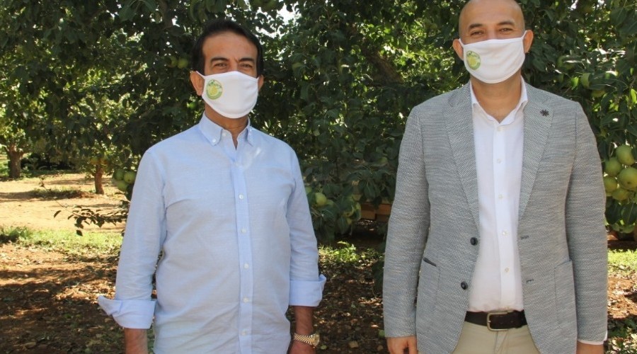 Zeytin Mektebi 20 bin kişiye ulaştı