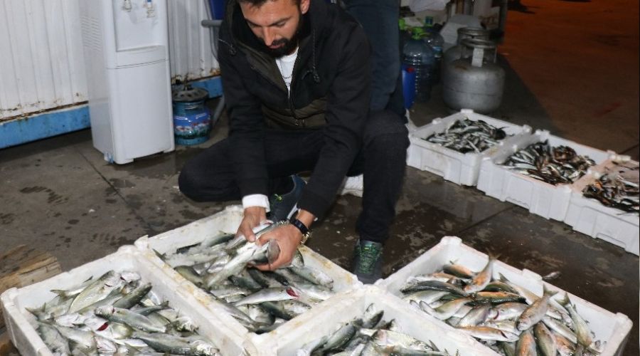 Zonguldak'ta balıkçılar limana 2 bin kasa balıkla döndü