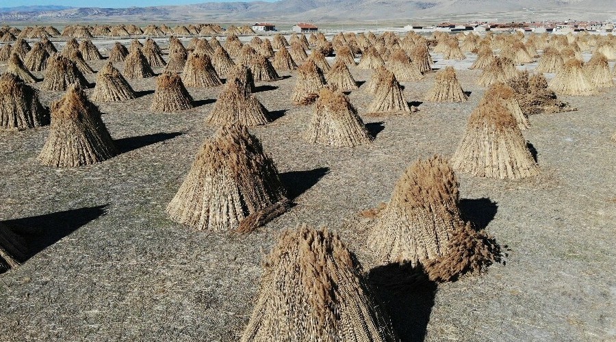 1 milyon dolar yanarak k�l oldu