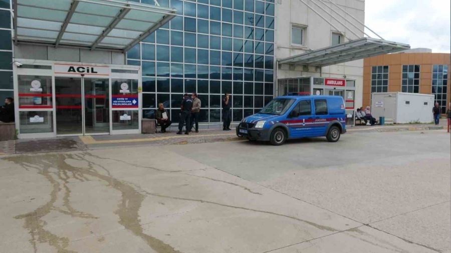 11 yaşındaki çocuk ayı saldırısı sonucu ağır yaralandı