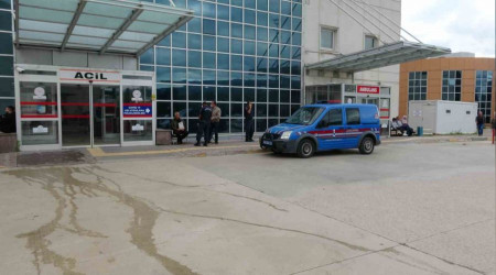 11 yaşındaki çocuk ayı saldırısı sonucu ağır yaralandı