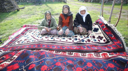 200 yıl sonra Sındırgı'da kök boya bahçesi kuruldu
