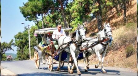 3 ay faytonlara at koşulmayacak