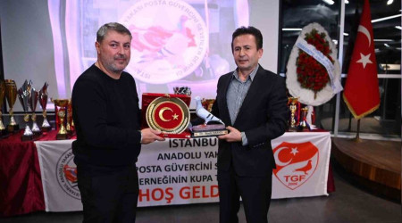 350 Posta Güvercini 800 kilometrelik yarışta uçtu