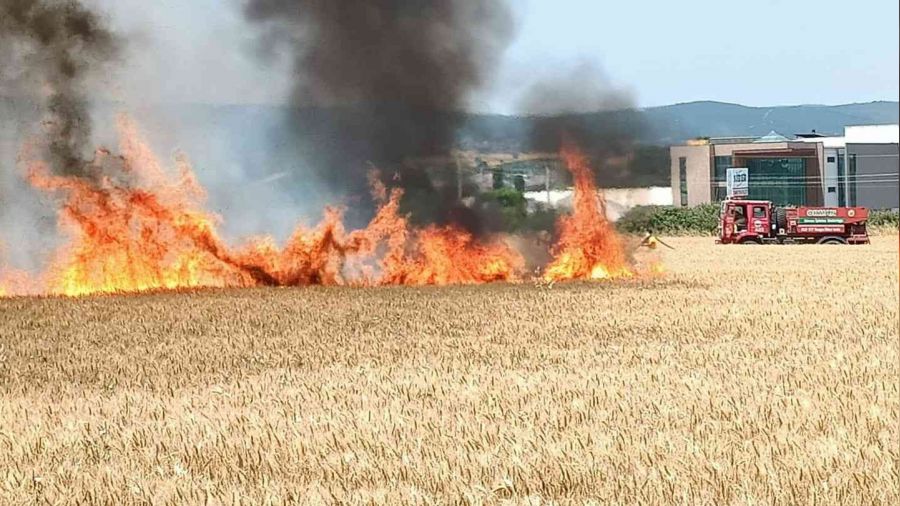 40 dönüm buğday tarlası kül oldu