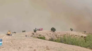 7 ev kül oldu, Kozan'da orman yangını devam ediyor
