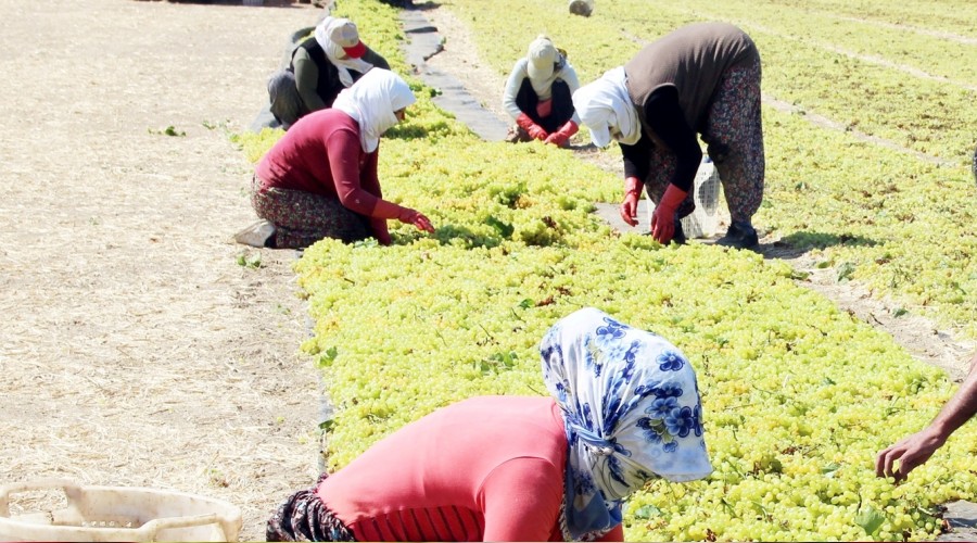 7 yılda 817 kadın iş kazalarında öldü