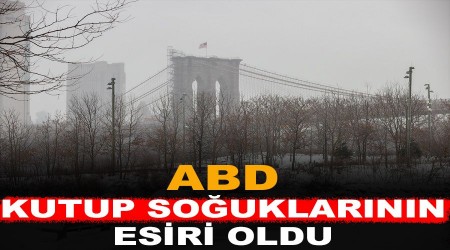ABD, kutup soğuklarının esiri oldu