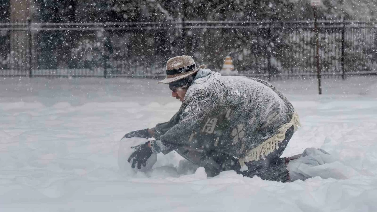 ABD'de yang�n bitti kar ba�lad�: En az 4 �l�