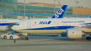 ABD'li yolcu kabin görevlisinin kolunu ısırınca ANA uçağı Tokyo'ya döndü