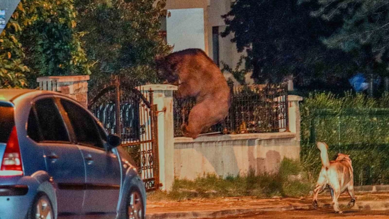 A� kalan ay�, Ankara'da