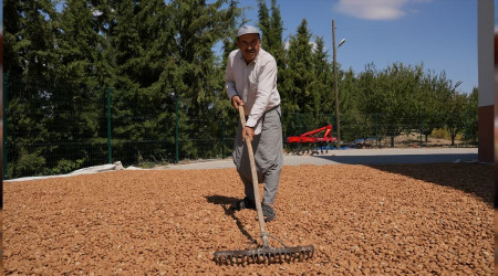 Adyaman badem diyar oldu