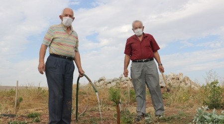 Ağaçlara can suyu