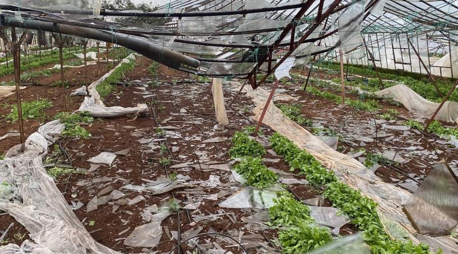 Aksu'da ��kan hortum 70 dekar ekili alana zarar verdi