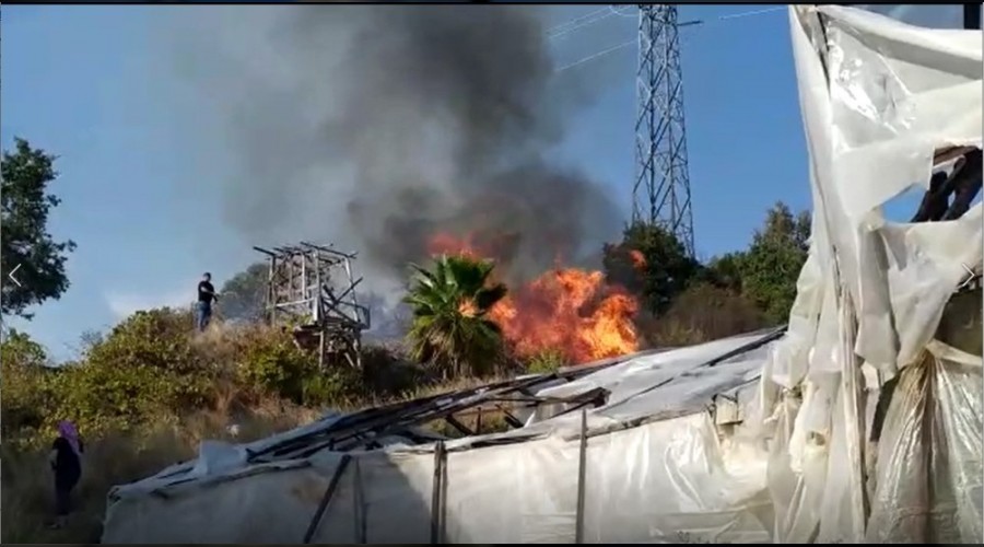 Alanya'da çalılık alanda yangın