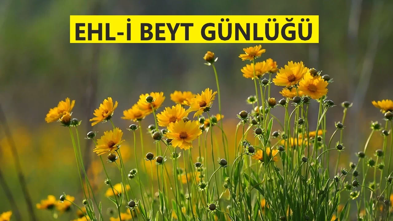 �Ali Allah i�in, sen d�nya i�in sava��yorsun�