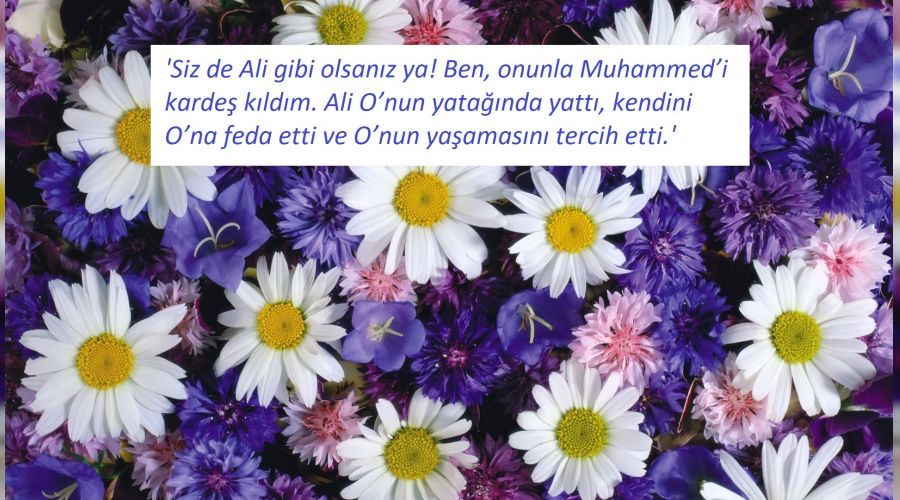 ‘Ali gibi olsanız ya!’