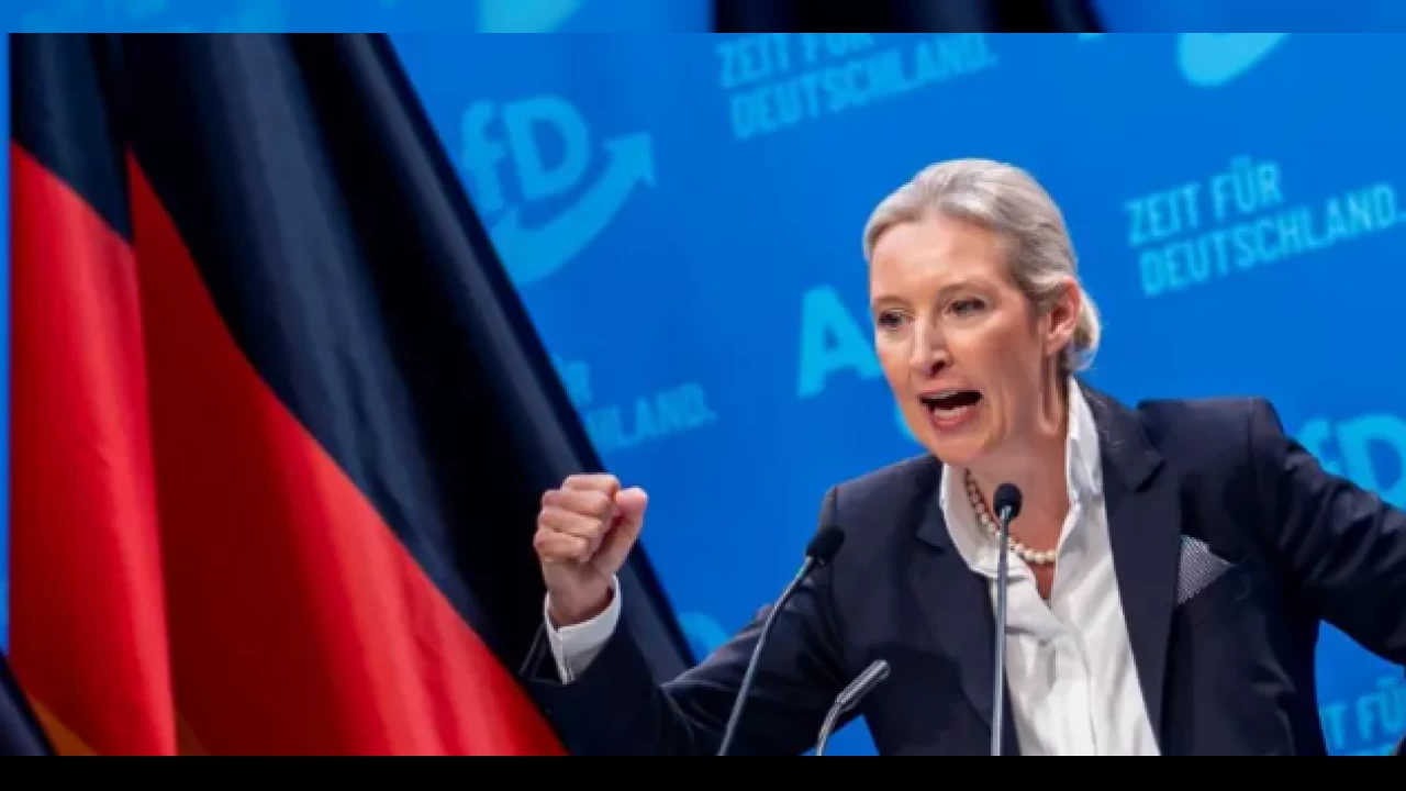 Almanya'da Nazi kafal� say�s�nda patlama