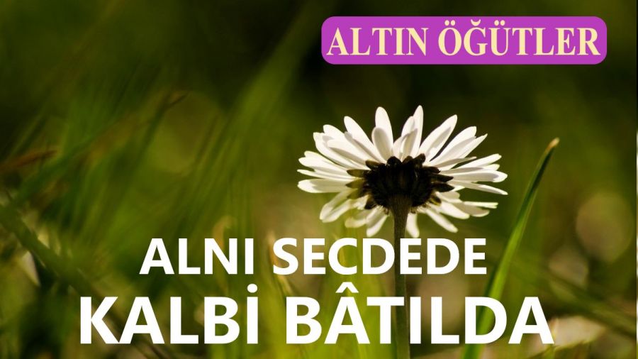 Alnı secdede, kalbi bâtılda