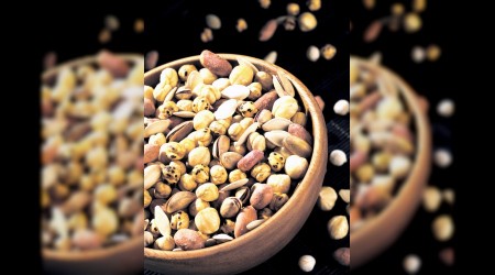 Alzheimer’dan koruyan besinler