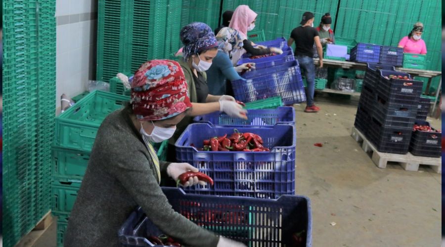 Antalya halinde semt pazar hareketlilii balad