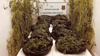 Antalya'da 53 kilo uyuturucu ele geirildi
